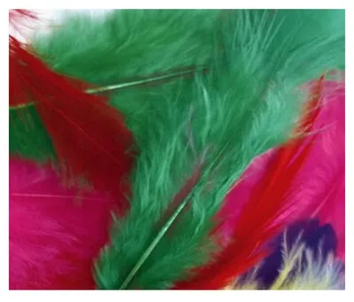 Imagen del producto de Graine Creative: Pequeño paquete con 20 plumas de 7 cm de tamaño, en varios colores