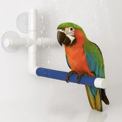 Image de Barre de douche XL - pour grands perroquets