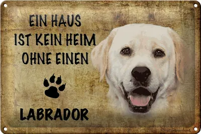 Produktbild von Blechschild Labrador 30x20cm Haus ist kein Heim ohne
