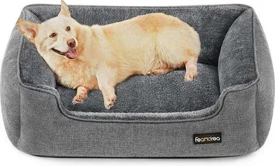 Immagine prodotto di Cuccia per cani di grossa taglia