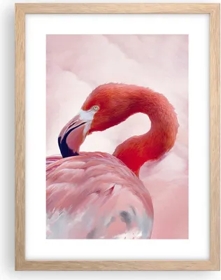 Produktbild von Gerahmtes Poster - Rahmen in heller Eiche - Flamingo Vogel Porträt - 30x40 cm - Wand Bild - Wanddeko - Wandbilder - Kunstposter - Wandposter - Bilderrahmen - Bilder - Kunstdruck - P2NPA30x40-4984