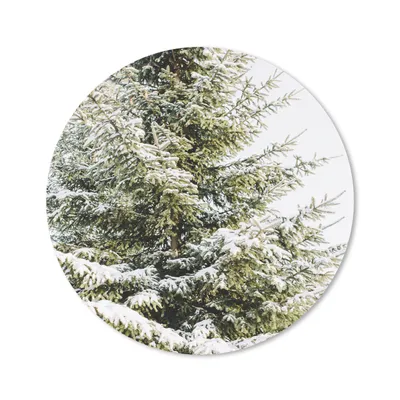 Produktbild von MuchoWow® Mauspad Mousepad Winter - Baum - Schnee 40x40 cm - Mousepads - Maus Mat - Pad - Mausunterlage - Schreibtisch Accessoires