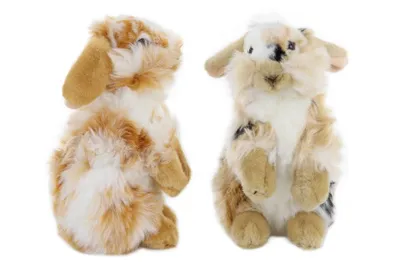 Immagine prodotto di Coniglio di peluche 21 cm