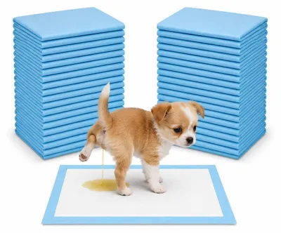 Produktbild von Aluz Hunde Trainingspads 500 Stück 33x45 cm Saugfähige Welpenunterlagen 80 ml