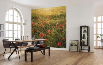 Produktbild von Komar Vlies Fototapete "Poppy World" - Größe: 250 x 280 cm (Breite x Höhe) - 5 Bahnen