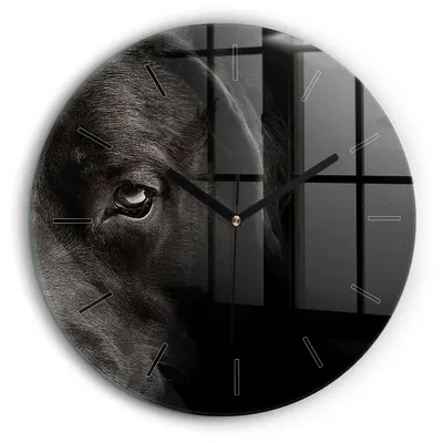 Produktbild von Wallfluent Große Wanduhr – Stilles Quarzuhrwerk - Uhr Dekoration Wohnzimmer Schlafzimmer Küche - Zifferblatt mit Striche - schwarze Zeiger - 60 cm - Schottischer Hund und Katze