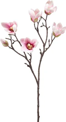 Produktbild von künstliche Magnolie Kirschblüte rosa H. 65cm Emerald Kunstblume