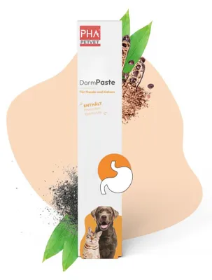 Immagine prodotto di PHA DarmPaste per cani e gatti 15 ml