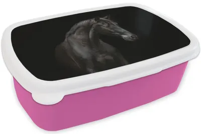Produktbild von KitchenYeah® Lunchbox Brotzeit Brotdose 17x11 cm Pferd - Tiere - Schwarz - Porträt Kinder Brotzeitdose - Lunchpaket - Brotkasten  - Sandwich Box
