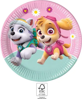 Produktbild von Paw Patrol Skye und Everest Pappteller 8 Stk. 23 cm