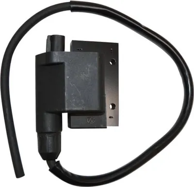 Immagine prodotto di Bobina accensione nera Sgr con connettore 2 Mini pin