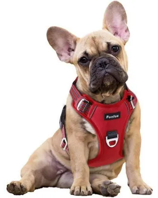 Produktbild von Hundegeschirr Anti Zug Welpengeschirr mit Griff Rot Größe S
