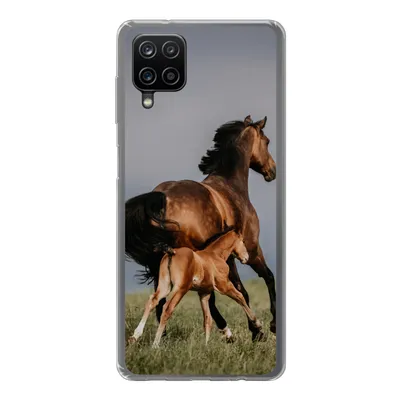 Produktbild von MuchoWow® Handyhülle Schutzhülle Hülle für Samsung Galaxy A12 Tiere - Pferde - Fohlen Silikon Softcase Handy Hülle - Bild