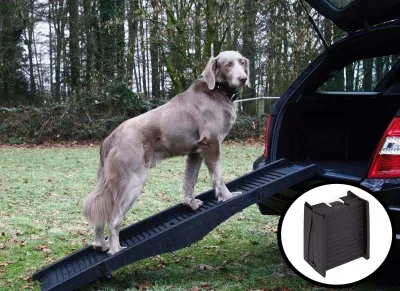 Obrázok produktu pre Nobby rampa pre psov Š x D: 40 x 152 cm