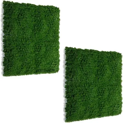 Immagine prodotto di Schermo modulare per balcone - 50 x 50 cm - Verde scuro