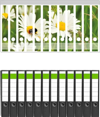 Produktbild von Wallario 12 Stück schmale Ordner inkl. Klebeetiketten mit Motive Margeritenwiese -  Set mit Rückenschildern / Ordnerrücken Stickern