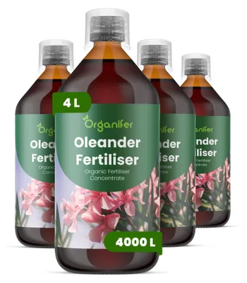 Obrázok produktu pre Oleander, tekuté hnojivo 4x1 L – vzťah živín NPK: 2-1-8 – vhodné pre oleandre – pre kvetináče, záhrady a okrasné výsadby – organické