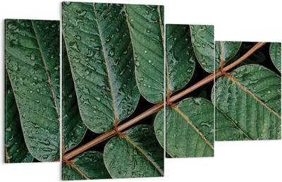 Produktbild von Bild auf Leinwand - Leinwandbild - 4 Teile - Tropfen Wasser Blätter - 120x70cm - Wand Bild - Wanddeko - Wandbilder - Leinwanddruck - Bilder - Wanddekoration - Leinwand bilder - DL120x70-4328