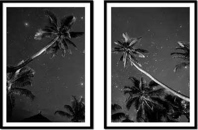 Obrázok produktu pre BILDPOSTER V RÁME 53x73cm Diptych s 2 obrazmi Palmy v noci P2140