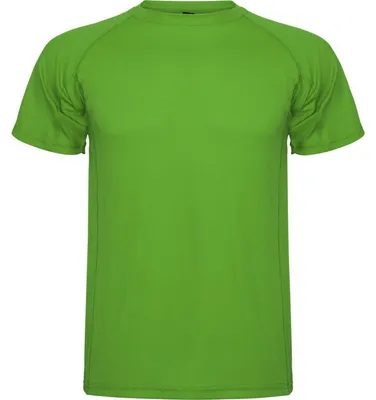 Image de Roly Sport - T-shirt « Montecarlo » pour homme LT2834 (S) (vert fougère)