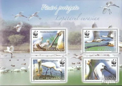 Produktbild von Briefmarken Rumänien 2006 Mi Block391 (kompl.Ausg.) postfrisch Weltweiter Naturschutz