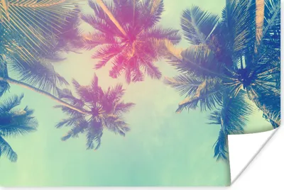 Produktbild von MuchoWow® Poster Palmen - Palmenblätter - Sommer - Tropisch 60x40 cm - Schlafzimmerdekoration
