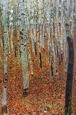 Produktbild von Gustav Klimt Kunstdruck Bild - Birkenwald, 1903 (180 x 120 cm)