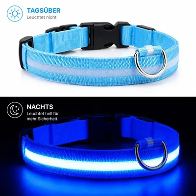 Produktbild von LED Hundehalsband USB aufladbar reflektierend Leuchthalsband verstellbar S–XL für Hunde Nacht Sicherheit inkl. Ladekabel Gr. S (34 - 41cm) - BLAU