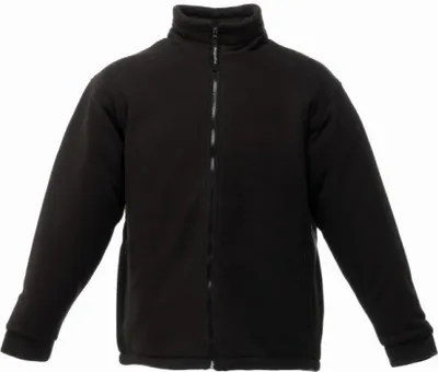 Produktbild von Regatta Asgard II Herren Fleecejacke, Thermoschutz-Isolierung BC823 (L) (Schwarz)