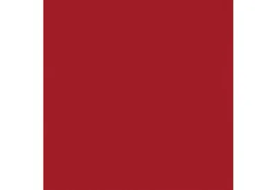 Obrázok produktu pre TI-FLAIR Servítka 33x33cm rot 20PA 421725