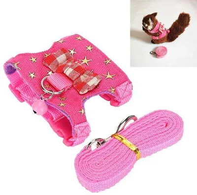 Image de Ensemble de colliers pour chiens - Confortable et sûr - Tissu denim - Taille M - Pour petits chiens - Réglable