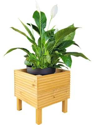 Produktbild von Gartentopf aus Holz mit Beinen - Topfdeckel Eiche hell