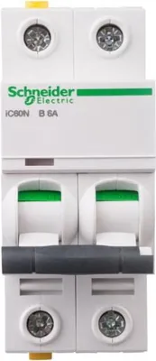 Image de APC Schneider Schneider Electric Interrupteur LS 2P 6A B IC60N A9F03206