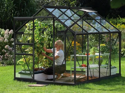 Produktbild von Vitavia Gewächshaus Venus 5000, ESG 3mm, schwarz