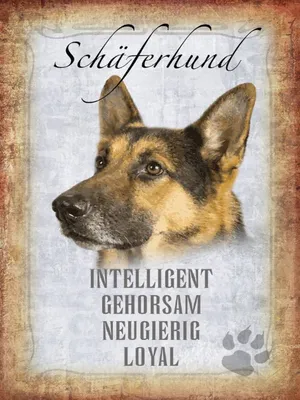 Produktbild von vianmo Holzschild 40x30 cm Schäferhund Hund