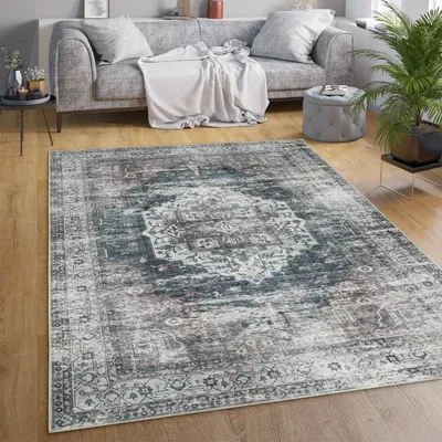 A living room scene with a sofa, rug, and plant.