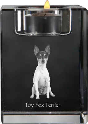 Immagine prodotto di Art-Dog Portacandela tealight – Toy Fox Terrier
