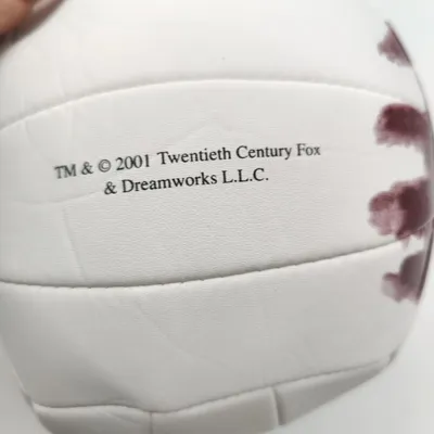 Image de Wilson - Volleyball | CASTAWAY | Mr. Wilson - édition spéciale