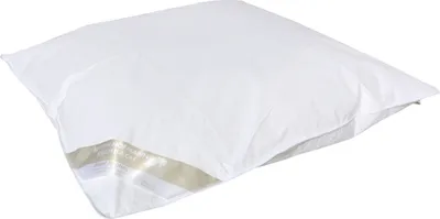 Produktbild von Betten Hofmann Franken Baby Winter Daunendecke Daunenbett 80x80 cm 100% Daunen