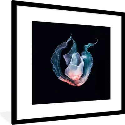 Produktbild von MuchoWow® MuchoWow® Gerahmtes Poster Qualle - Blau - Rosa 40x40 cm - Poster mit zchwarzem Bilderrahmen - Poster - Plakat im Rahmen