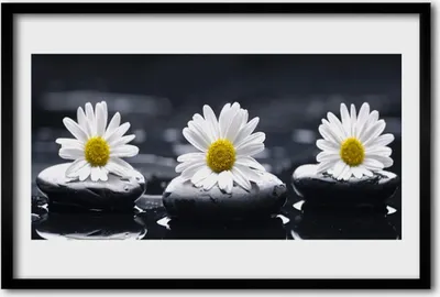 Produktbild von Bild 60x40 MDF-Rahmen Wandkunst Daisy Steine ​​Pflanze