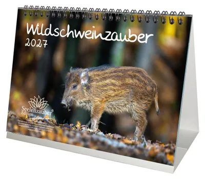 Produktbild von Wildschweinzauber DIN A5 Tischkalender für 2027 Schweine Schweinchen - Seelenzauber