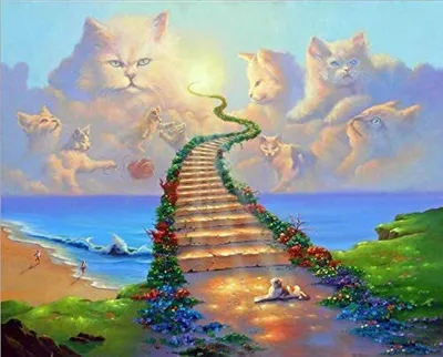 Produktbild von Diamonds Painting Bilder 5D DIY Diamant Malerei Erwachsene Kunst Kunsthandwerk Pictures für Zuhause Büro Wand Décor, Katze Am Himmel 30*40cm