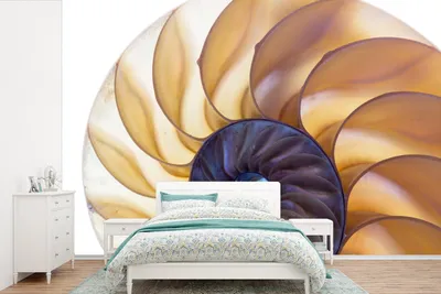 Produktbild von MuchoWow® Fototapete für Wohnzimmer oder Schlafzimmer Wandtapete Vinyl Motivtapete Muschel - Blau - Meer - 450x300 cm - Gemusterte