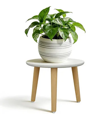 Image de Support pour plantes en bois, rond, dimensions 28 x 22 cm, couleur blanche