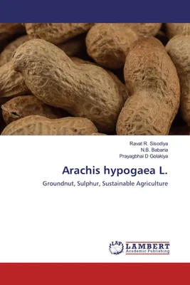 Produktbild von Arachis hypogaea L.