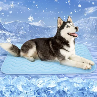 Image de Tapis rafraîchissant pour chien - 150 x 100 cm - Lavable - Antidérapant - Autorafraîchissant