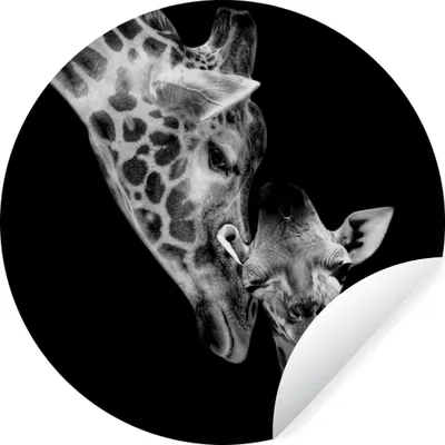 Produktbild von MuchoWow® Runde Wandtattoo - Wandsticker Tapete Aufkleber Porträt - Giraffe - Tiere - Schwarz - Weiß Ø 100 cm Selbstklebend und Repositionierbar - Wandaufkleber - Kreis - Tapetenkreis - Wandbild rund - Schlafzimmerdekoration - Wanddeko - runde Tapete - Kunst für zu Hause