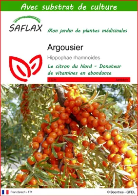 Image de SAFLAX  - Argousier - 40 graines - Avec substrat - Hippophae