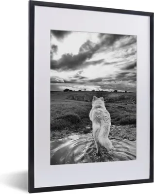 Produktbild von MuchoWow® MuchoWow® Gerahmtes Poster Wolf mit Blick auf die Landschaft in Schwarz und Weiß 30x40 cm - Poster mit zchwarzem Bilderrahmen - Wandposter Schlafzimmer